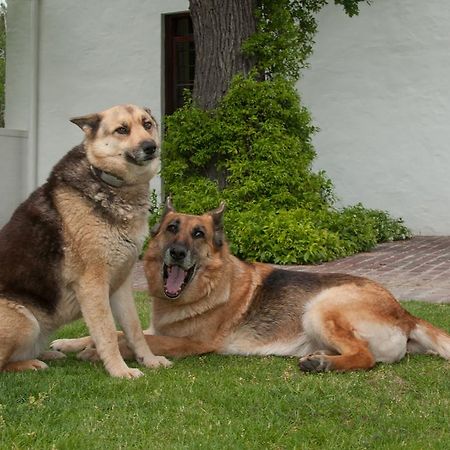 La Galiniere Guest Cottages Franschhoek Bagian luar foto
