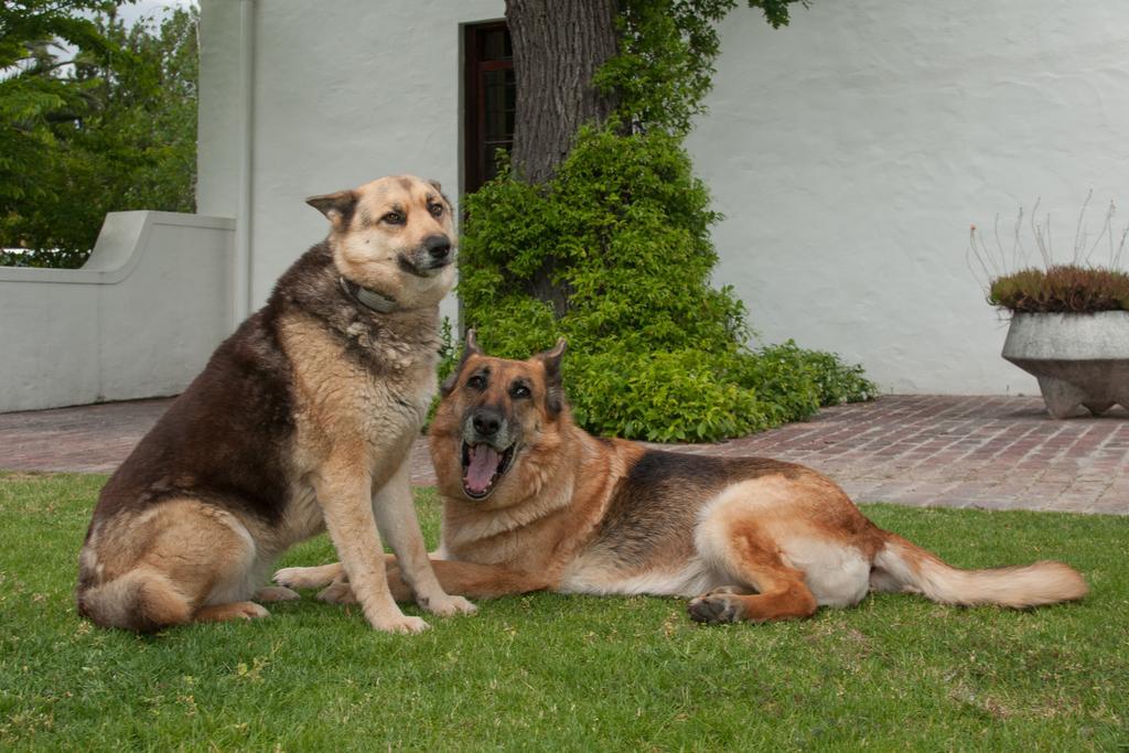 La Galiniere Guest Cottages Franschhoek Bagian luar foto