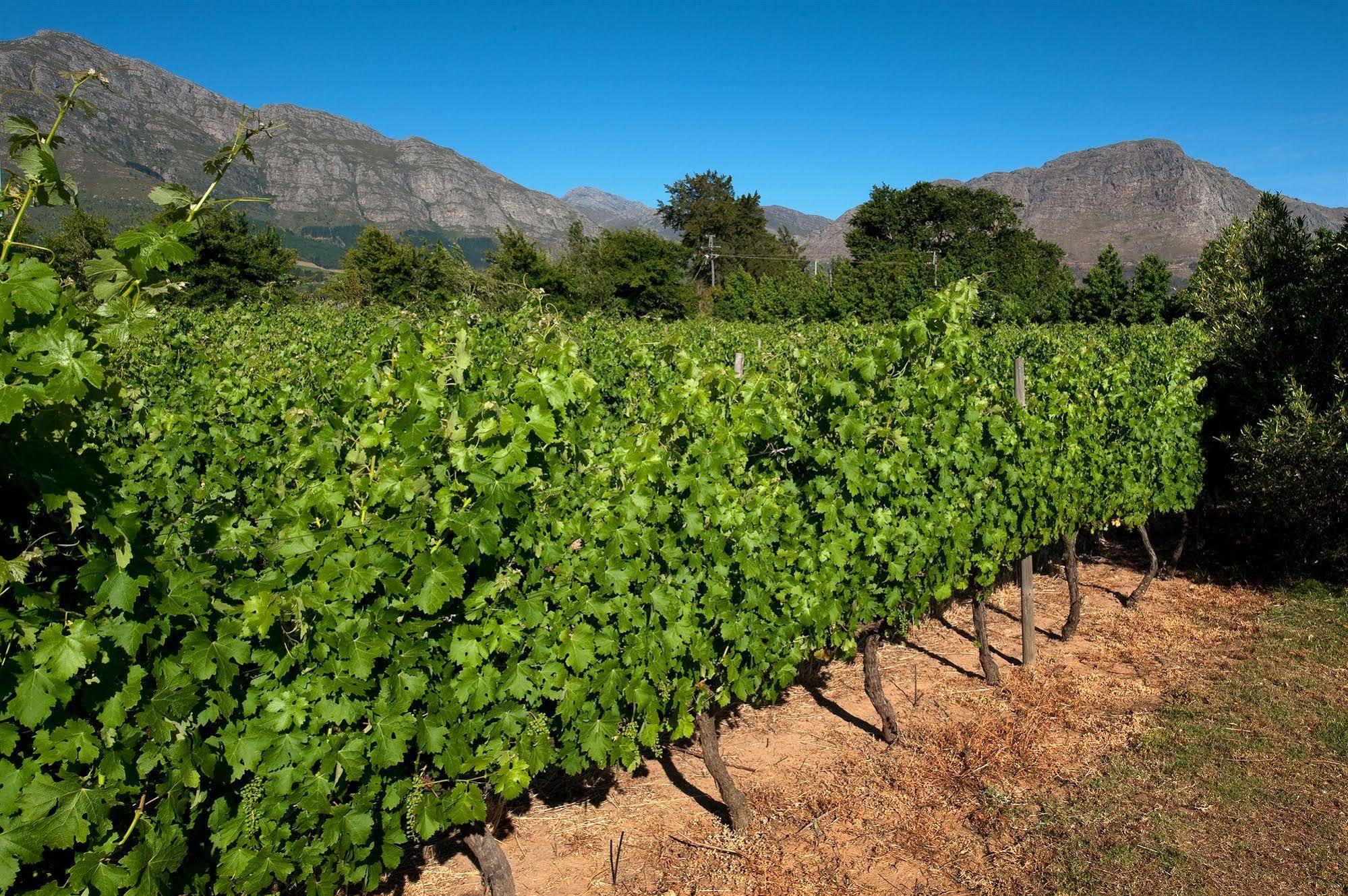 La Galiniere Guest Cottages Franschhoek Bagian luar foto